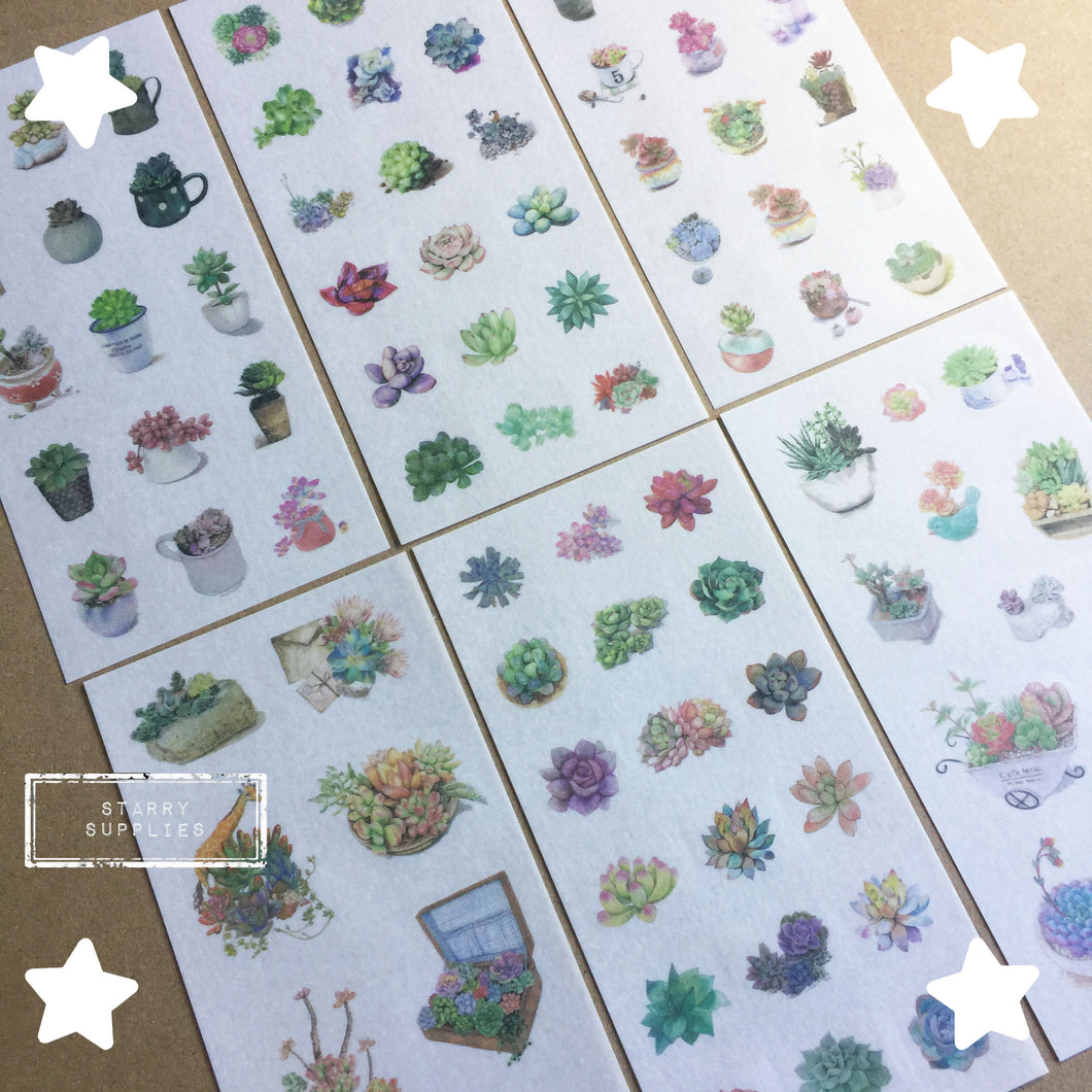 Watercolour Cactus Sticker Pack - 6 Sheets/pack